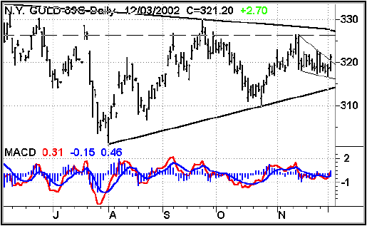 Feb Gold daily chart